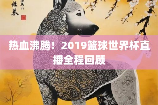 热血沸腾！2019篮球世界杯直播全程回顾