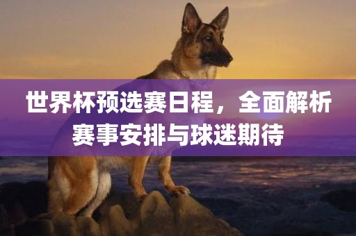 世界杯预选赛日程，全面解析赛事安排与球迷期待