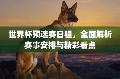 世界杯预选赛日程，全面解析赛事安排与精彩看点