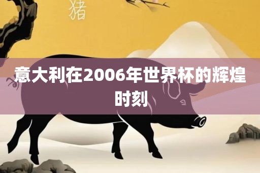 意大利在2006年世界杯的辉煌时刻