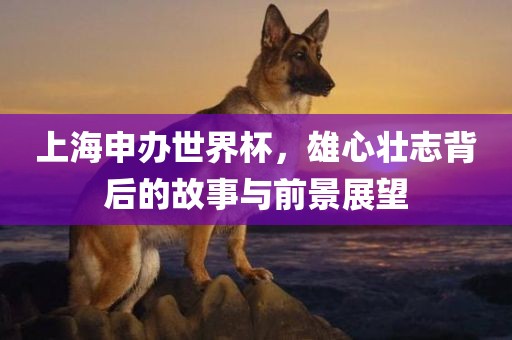 上海申办世界杯，雄心壮志背后的故事与前景展望