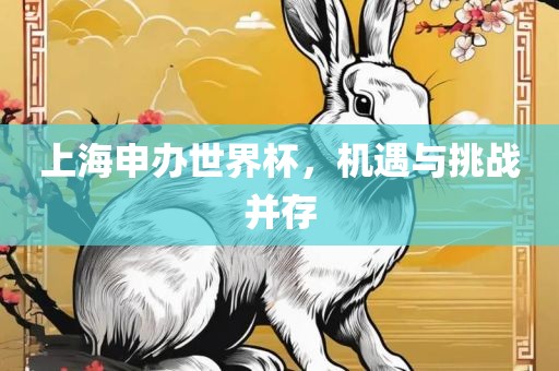 上海申办世界杯，机遇与挑战并存