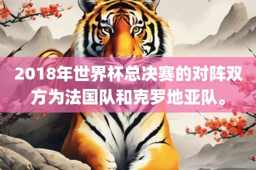 2018年世界杯总决赛的对阵双方为法国队和克罗地亚队。