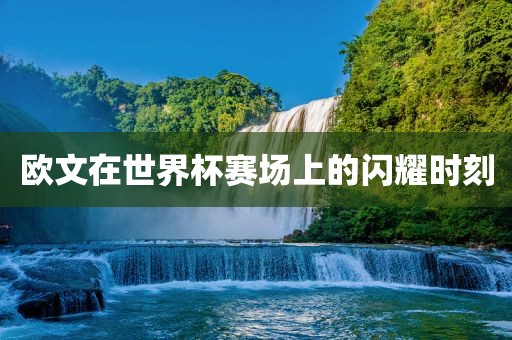 欧文在世界杯赛场上的闪耀时刻