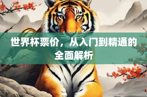 世界杯票价，从入门到精通的全面解析