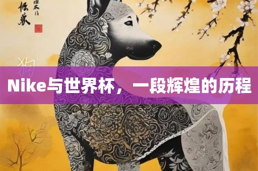 Nike与世界杯，一段辉煌的历程
