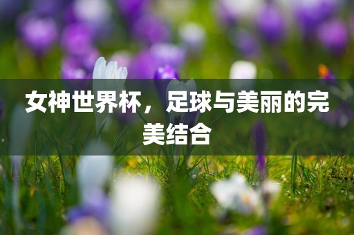 女神世界杯,足球与美丽的完美结合