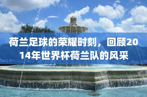 荷兰足球的荣耀时刻，回顾2014年世界杯荷兰队的风采
