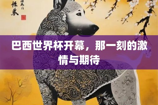 巴西世界杯开幕，那一刻的激情与期待