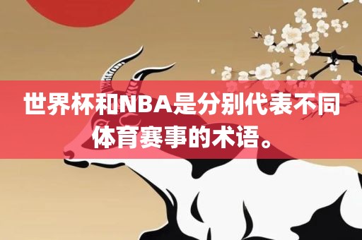 世界杯和NBA是分别代表不同体育赛事的术语。