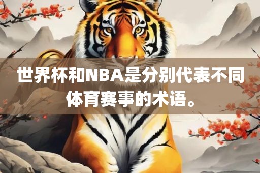 世界杯和NBA是分别代表不同体育赛事的术语。