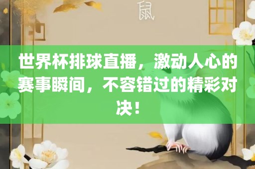 世界杯排球直播，激动人心的赛事瞬间，不容错过的精彩对决！