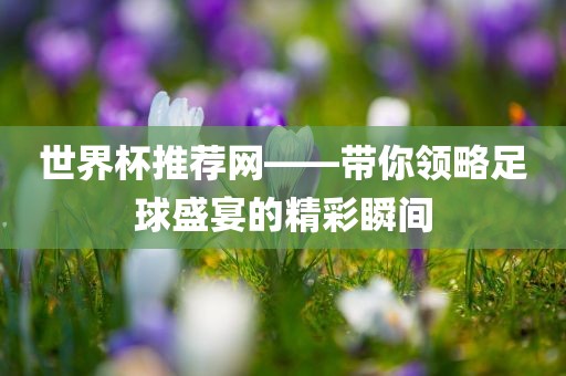 世界杯推荐网——带你领略足球盛宴的精彩瞬间