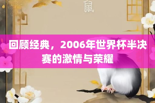 回顾经典,2006年世界杯半决赛的激情与荣耀