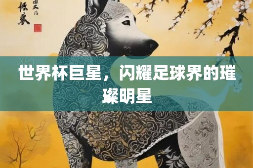 世界杯巨星，闪耀足球界的璀璨明星