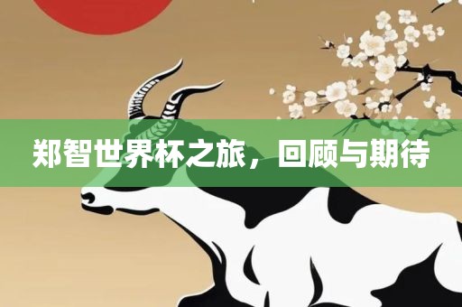 郑智世界杯之旅，回顾与期待