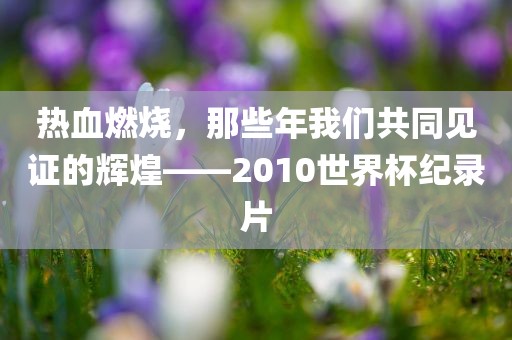 热血燃烧，那些年我们共同见证的辉煌——2010世界杯纪录片