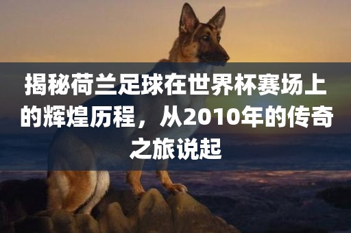 揭秘荷兰足球在世界杯赛场上的辉煌历程，从2010年的传奇之旅说起