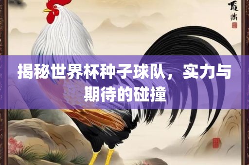 揭秘世界杯种子球队，实力与期待的碰撞