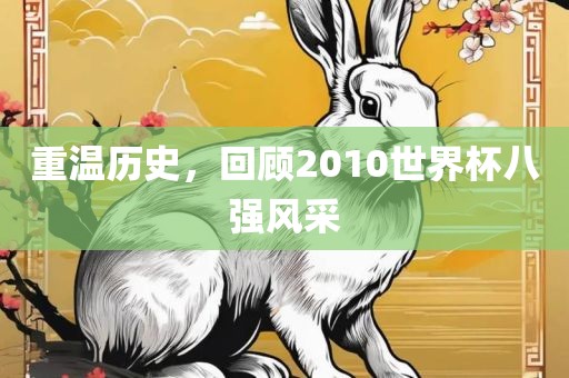 重温历史，回顾2010世界杯八强风采