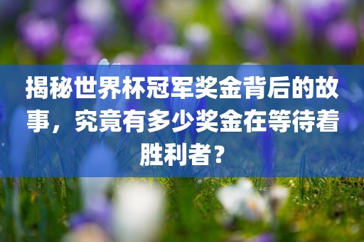 揭秘世界杯冠军奖金背后的故事，究竟有多少奖金在等待着胜利者？