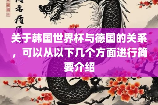 关于韩国世界杯与德国的关系，可以从以下几个方面进行简要介绍