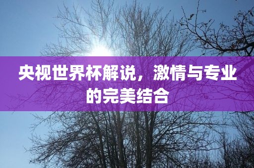 央视世界杯解说，激情与专业的完美结合