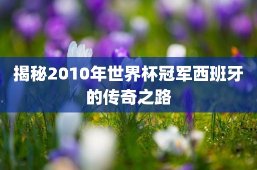 揭秘2010年世界杯冠军西班牙的传奇之路