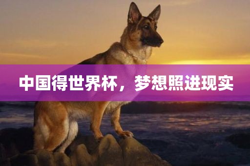 中国得世界杯，梦想照进现实