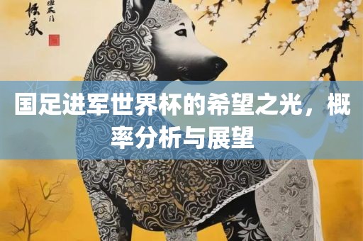 国足进军世界杯的希望之光，概率分析与展望