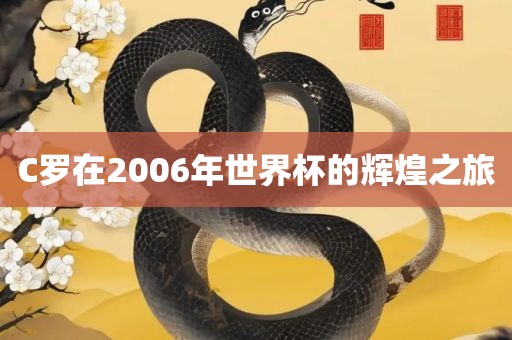 C罗在2006年世界杯的辉煌之旅
