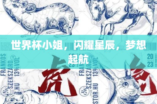 世界杯小姐，闪耀星辰，梦想起航