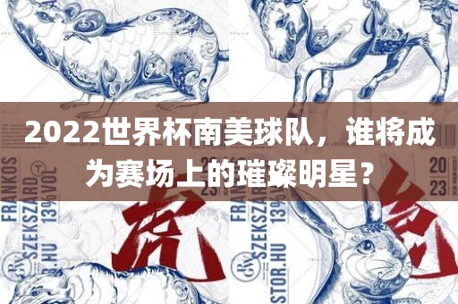 2022世界杯南美球队，谁将成为赛场上的璀璨明星？