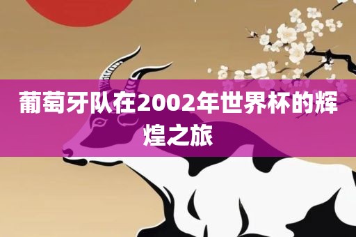 葡萄牙队在2002年世界杯的辉煌之旅