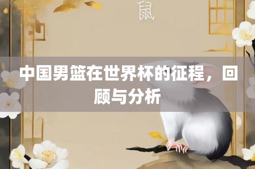 中国男篮在世界杯的征程，回顾与分析