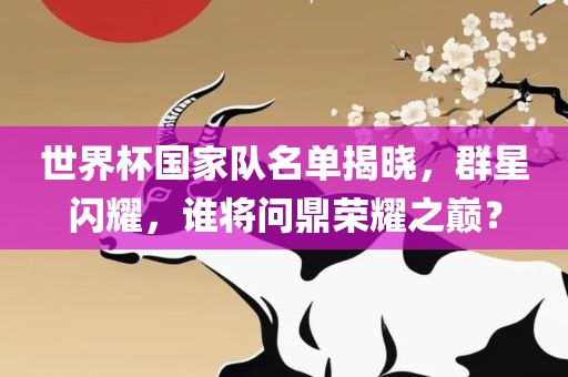 世界杯国家队名单揭晓，群星闪耀，谁将问鼎荣耀之巅？
