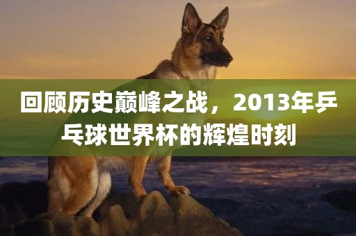 回顾历史巅峰之战，2013年乒乓球世界杯的辉煌时刻