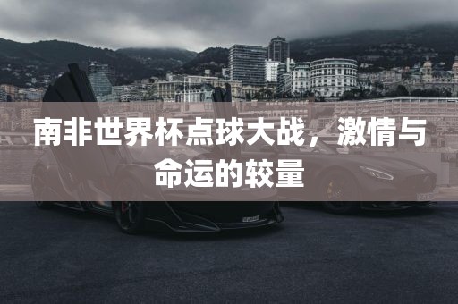 南非世界杯点球大战，激情与命运的较量