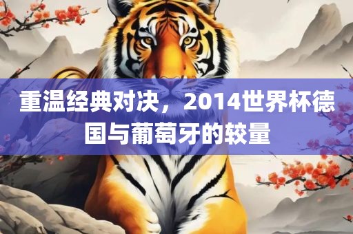 重温经典对决，2014世界杯德国与葡萄牙的较量