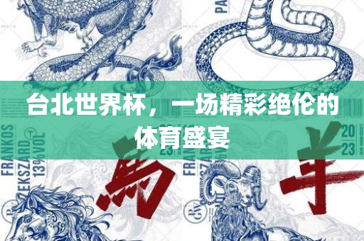 台北世界杯,一场精彩绝伦的体育盛宴