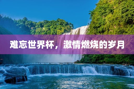 难忘世界杯，激情燃烧的岁月