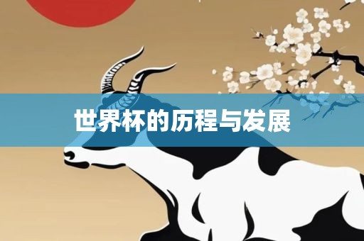 世界杯的历程与发展