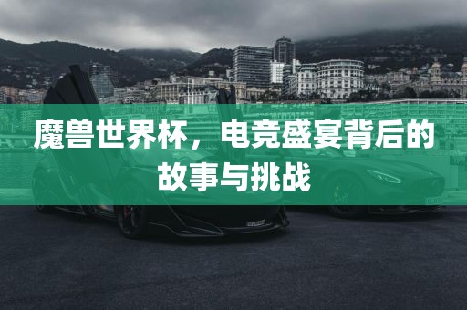 魔兽世界杯，电竞盛宴背后的故事与挑战