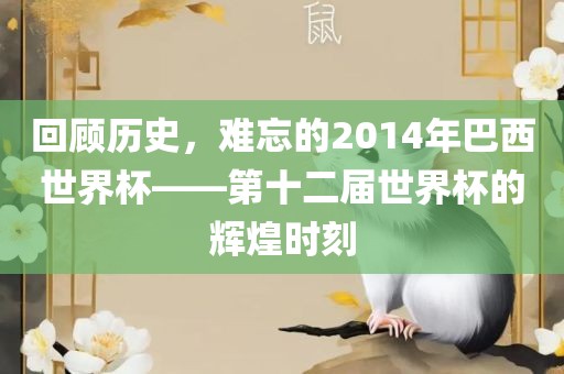 回顾历史，难忘的2014年巴西世界杯——第十二届世界杯的辉煌时刻