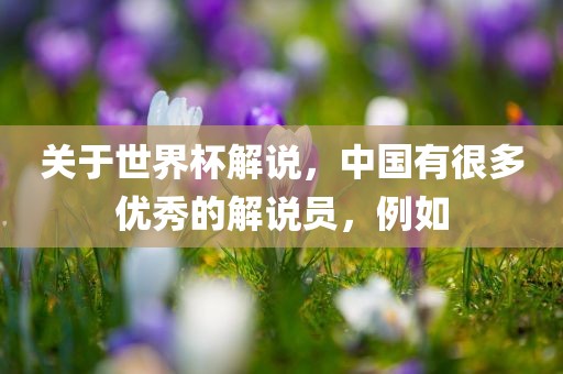 关于世界杯解说，中国有很多优秀的解说员，例如