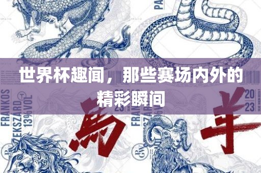 世界杯趣闻,那些赛场内外的精彩瞬间