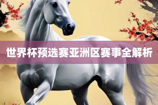 世界杯预选赛亚洲区赛事全解析