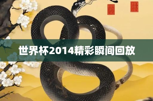 世界杯2014精彩瞬间回放