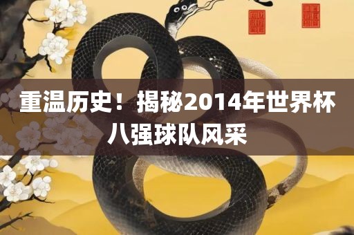 重温历史!揭秘2014年世界杯八强球队风采