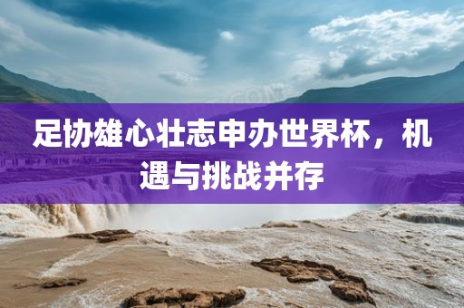 足协雄心壮志申办世界杯，机遇与挑战并存